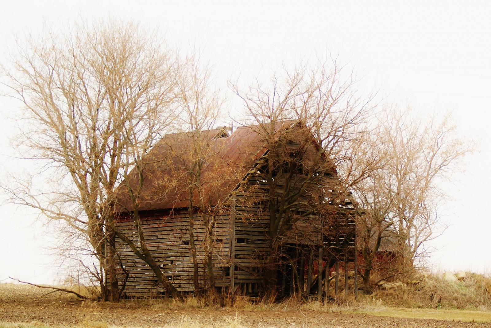 budova, opuštěný, tráva, sníh, zima, pole, dřevo, hospodařit, Sony, stodola, chata, sláma, Illinois, seno, stodoly, chatrč, strom, rostlina, mygearandme, il, zemědělství, mygearandmepremium, mygearandmebronze, mygearandmesilver, Rockford, A300, venkov, Belvidere, Boone, winnebagocounty