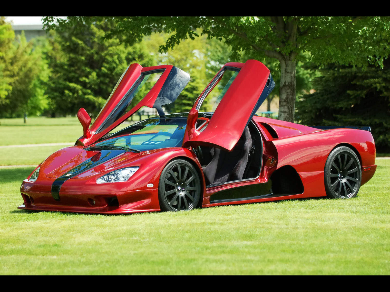 auto, veicolo, auto sportiva, macchina di spettacolo, Enzo Ferrari, netcarshow, netcar, immagini di auto, auto foto, 2011, Shelby Supercars, ultimate Aero, supercar, veicoli terrestri, design automobilistico, auto da corsa, marca di automobile, veicolo di lusso