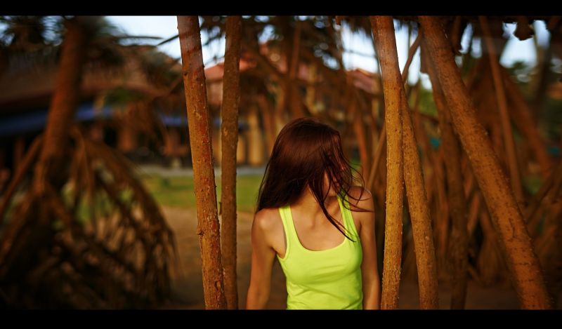sinar matahari, hutan, wanita, alam, rimba, fotografi sinar matahari, hutan, wanita, alam, rimba, fotografi