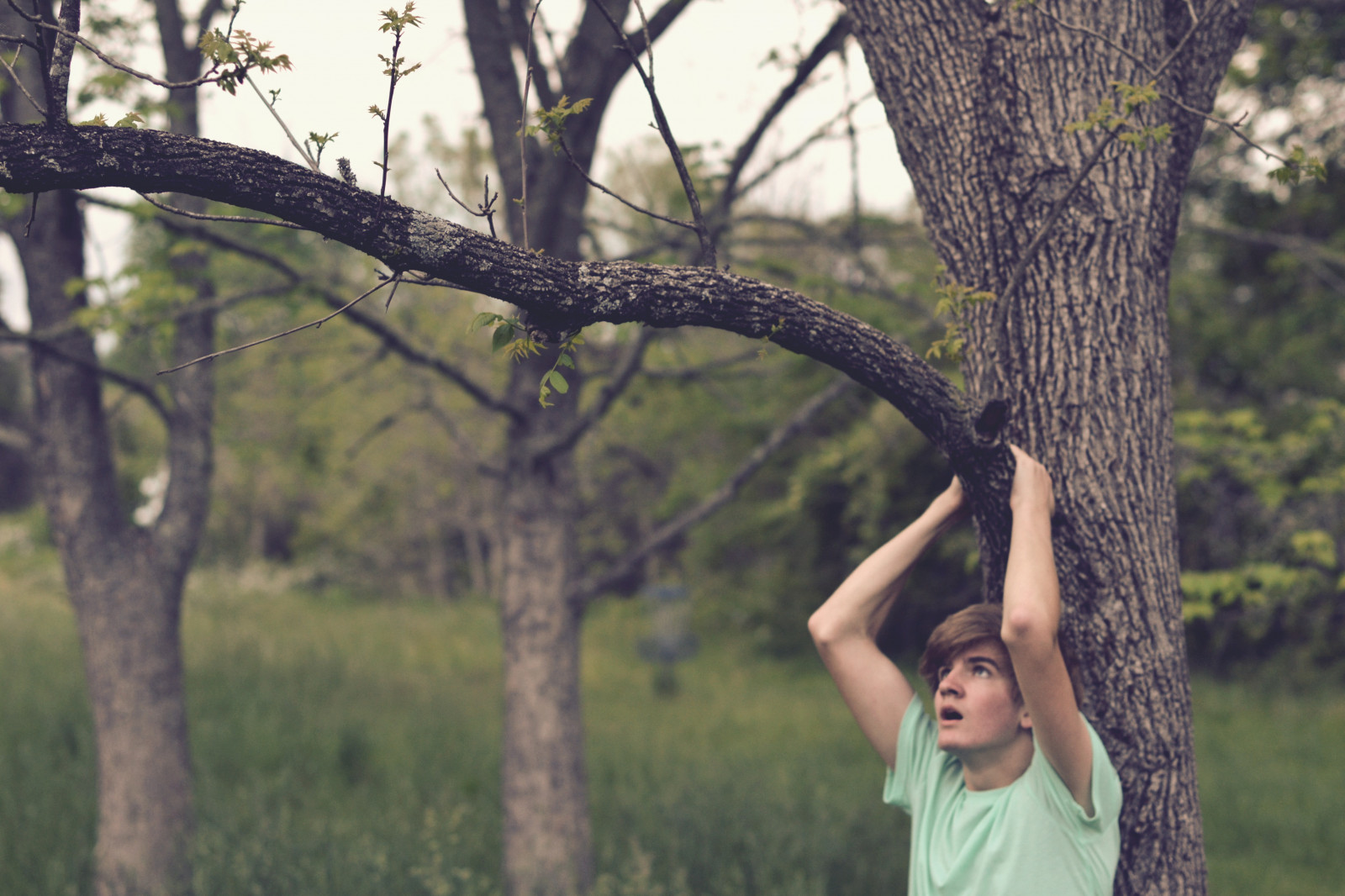 fra, træer, by-, træ, han-, fyr, tilgroet, Mark, skjorte, 50mm, Nikon, åben, udtryk, 14, Nord, mynte, fyr, Carolina, hængende, varevogne, NIKKOR, redigere, afs, Hav skum, outfitters, Photoscape, D3100