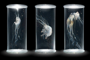 artwork6glass6crystal6evolution6bottle6lighting6material6vase6glass bottle6drinkware6champagne stemware6pint glass6beer glass6highball glass6old fashioned glass6digital art6simple background6black background6science artwork6glass6crystal6evolution6bottle6lighting6material6vase6glass bottle6drinkware6champagne stemware6pint glass6beer glass6highball glass6old fashioned glass6digital art6simple background6black background6science