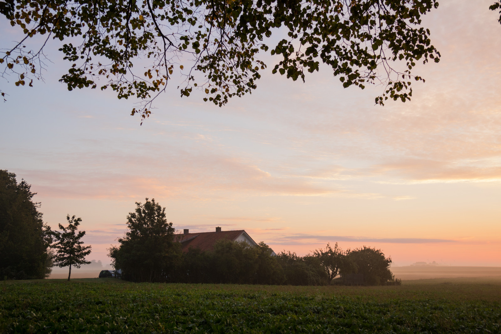 slunečnímu záření, krajina, západ slunce, kopec, Příroda, nebe, pole, svítání, večer, ráno, mlha, horizont, soumrak, venkovský, mrak, strom, mlha, květ, svítání, rostlina, nebe, dimma, venkov, moln, landsbygd, soluppg ng, s dersl tt, landskap, exif modelu canoneos760d, geocountry, Kamera aby kánon, geocity, Model fotoaparátu canoneos760d, geostate, geolocation, EXIF čočka efs18200mmf3556is, exif aby kánon, EXIF isospeed 100, exif focallength 28mm, EXIF otvor 50, morgon, simlinge, zemědělství, louka, prostý, prérie, venkov, atmosférický jev, dřevina, savana