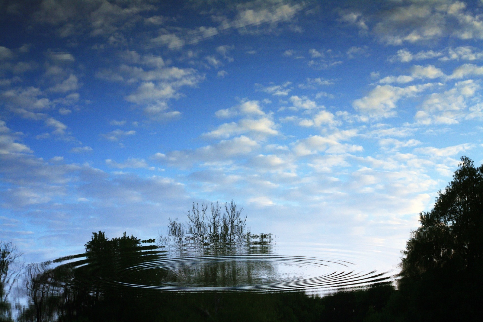 Sonnenlicht, Bäume, Landschaft, See, Wasser, Natur, Betrachtung, Gras, Himmel, Wolken, blau, Abend, Morgen, Horizont, Dämmerung, Wolke, Baum, Dämmerung, 1920x1280 px, Atmosphärisches Phänomen, Holzige Pflanze, Meteorologisches Phänomen