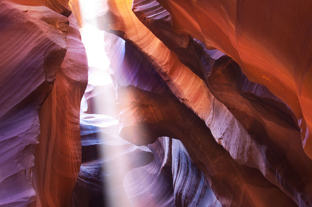 lilla, lyserød, lys, violet, kronblad, pige, blomst, computer tapet, dannelse, forår, Iris