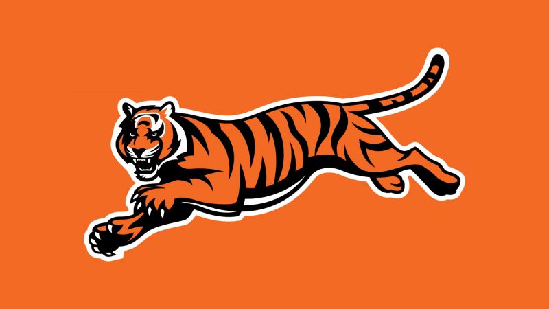 1920x1080 пиксела,Бенгалс,синсинати,футбол,NFL