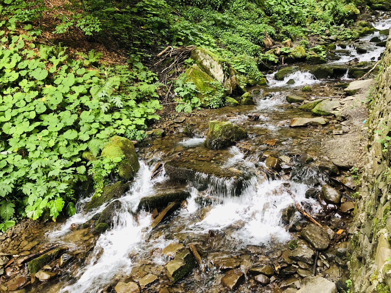 voda, rostlina, vodní zdroje, plant community, fluvial landforms of streams, Natural landscape, jaro, list, přírodní prostředí, vodní tok, tělo z vody, biome, tráva, vodopád, banka, terrestrial plant, riparian zone, krajina, groundcover, opadavý, les, Formace, padák, horské řeky, arroyo, proud, řasy, zátoka, vodní prvek, smíšený les, mineral spring, non vaskulární suchozemská rostlina, zálesí, strom, džungle, geologie, divočina, koryto, Rychlý, přírodní rezervace, Skála, jádro, cévnatých rostlin, lužní les, prales, tropical and subtropical coniferous forests, keř, valdivian temperate rain forest, Northern hardwood forest, deštný prales, Volně žijících živočichů, mech, rokle, přítok, dřevo, zelené řasy, jaterník, antarctic flora, řeka