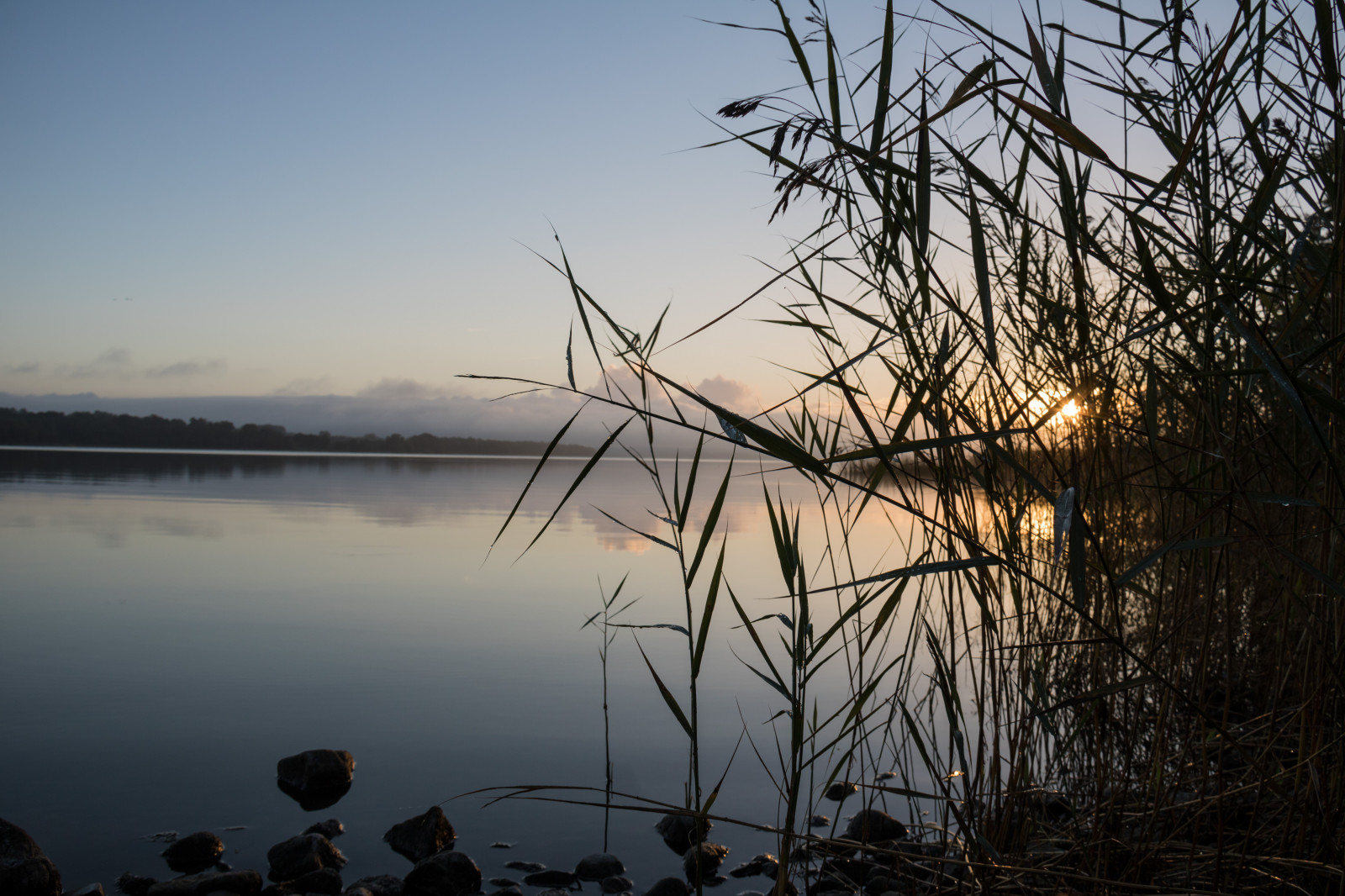 sollys, solnedgang, hav, sø, natur, afspejling, græs, afdeling, solopgang, aften, morgen, tåge, vind, skumring, Serenity, vådområde, ro, træ, daggry, h r, sj, soluppg ng, Gryning, exif model canoneos760d, geocountry, kamera gør kanon, geocity, kameramodel canoneos760d, geostate, geolocation, exif linse efs18200mmf3556is, exif gøre kanon, exif isospeed 100, exif åbningen 80, exif focallength 18mm, ringsj n, straringsj n, levested, naturligt miljø, atmosfærisk fænomen