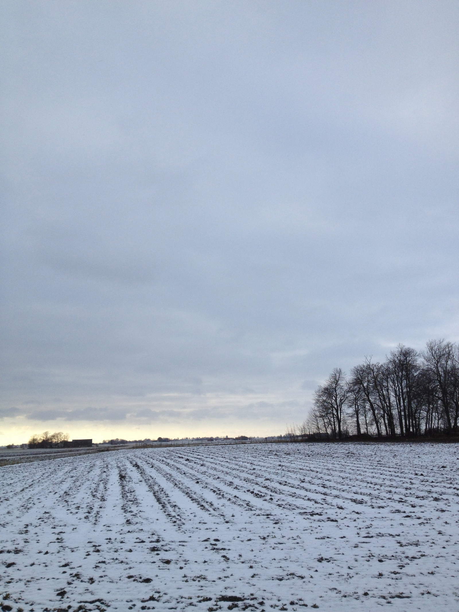 Wallpaper : landscape, sky, snow, winter, ice, morning, frost, Freezing ...
