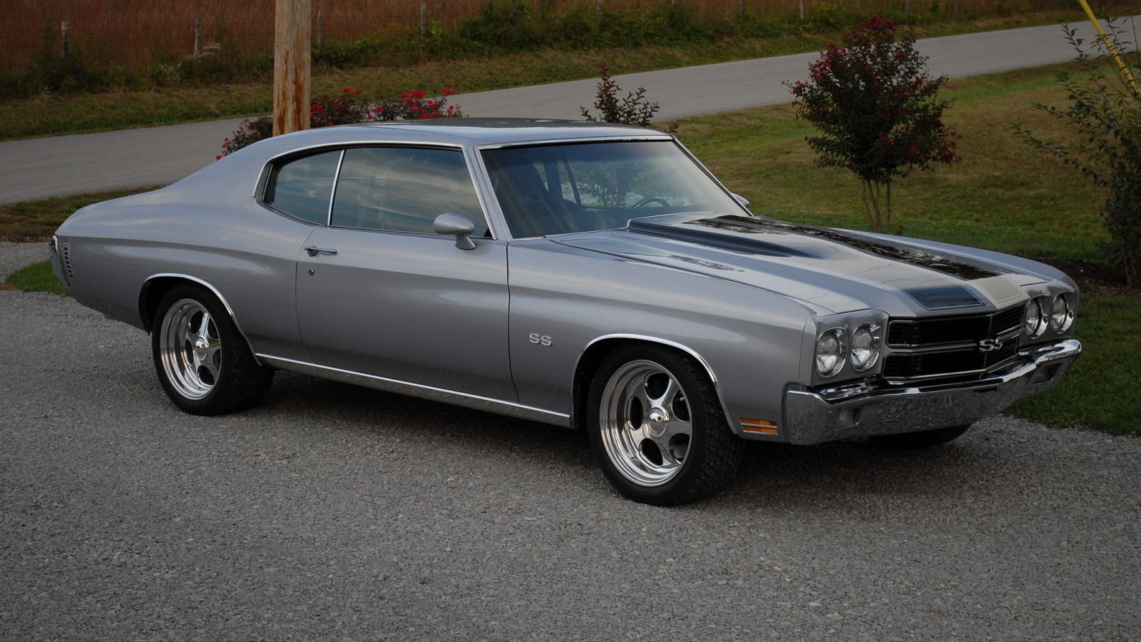 Chevrolet, Chevelle, SS, 1970, grigio, vista laterale