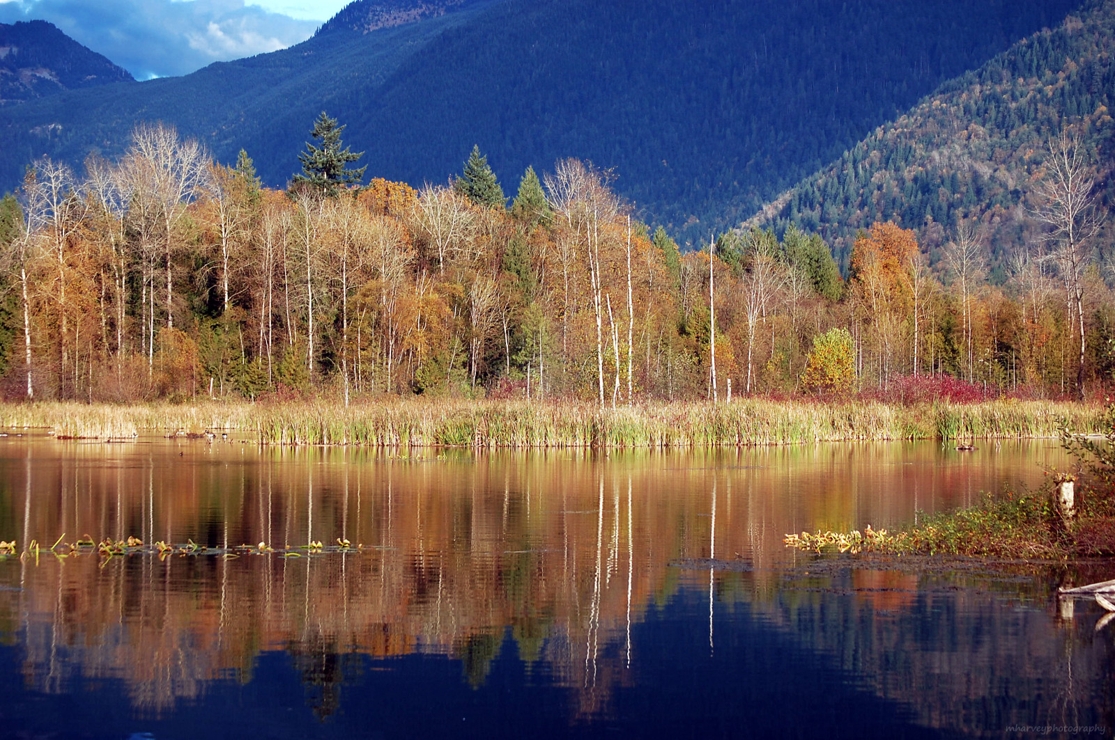 listopad, modrý, podzim, stromy, oranžový, Kanada, hory, odraz, Příroda, barvy, žlutý, automne, rybník, barvy, pondělí, coth, beautifulbritishcolumbia, dechberoucí výhled, Cheamwetlands, itsawonderfulworld, nikond40, bluejay2006, dragondaggerphoto, mharveyphotography, sailsevenseas, coppercloudsilvernsun