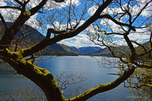 Contry - Wallpaper & HD Wallpapers - WallHere