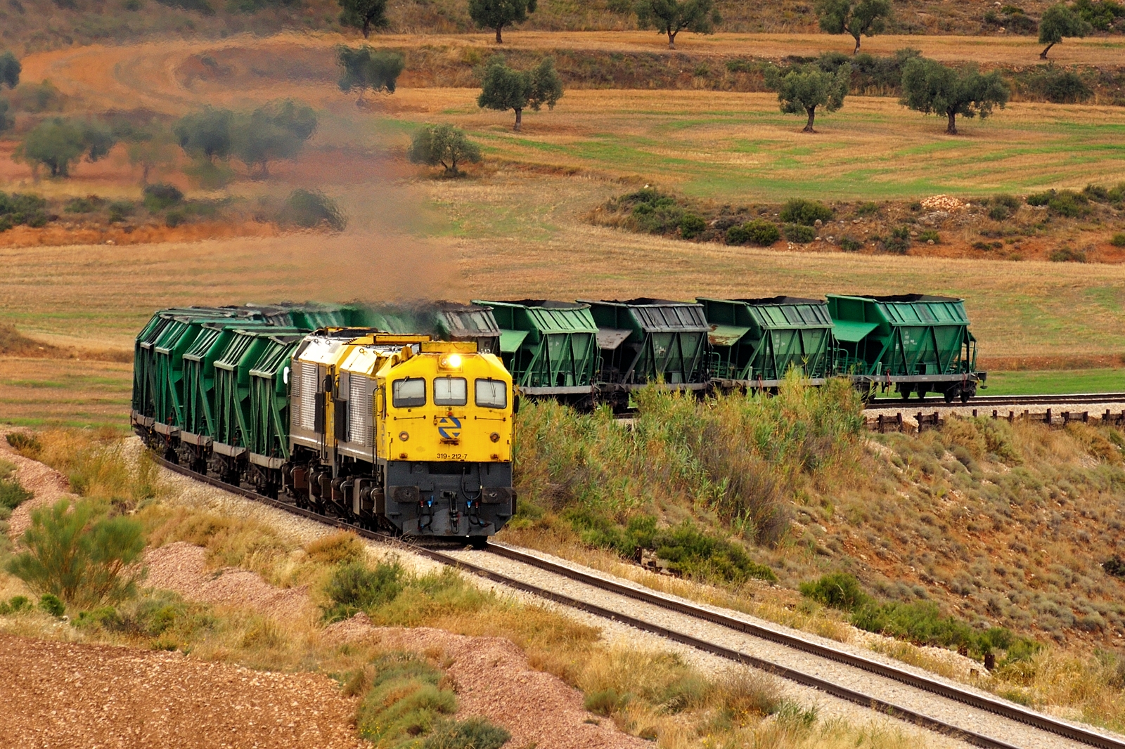 paesaggio, collina, natura, erba, cielo, veicolo, campo, treno, ferrovia, Nikon, trasporto, carico, locomotiva, albero, Ferrovia, treni, prateria, pianta, tren, traccia, pianura, d90, nikond90, linee ferroviarie, diesel, nolo, montanaro, prateria, area rurale, trasporto pubblico, trasporto ferroviario, materiale rotabile, vagone, ecoregione, renfe, FFCC, Trenes, mercancias, 319, Caldero, Retali, 319223, 319212