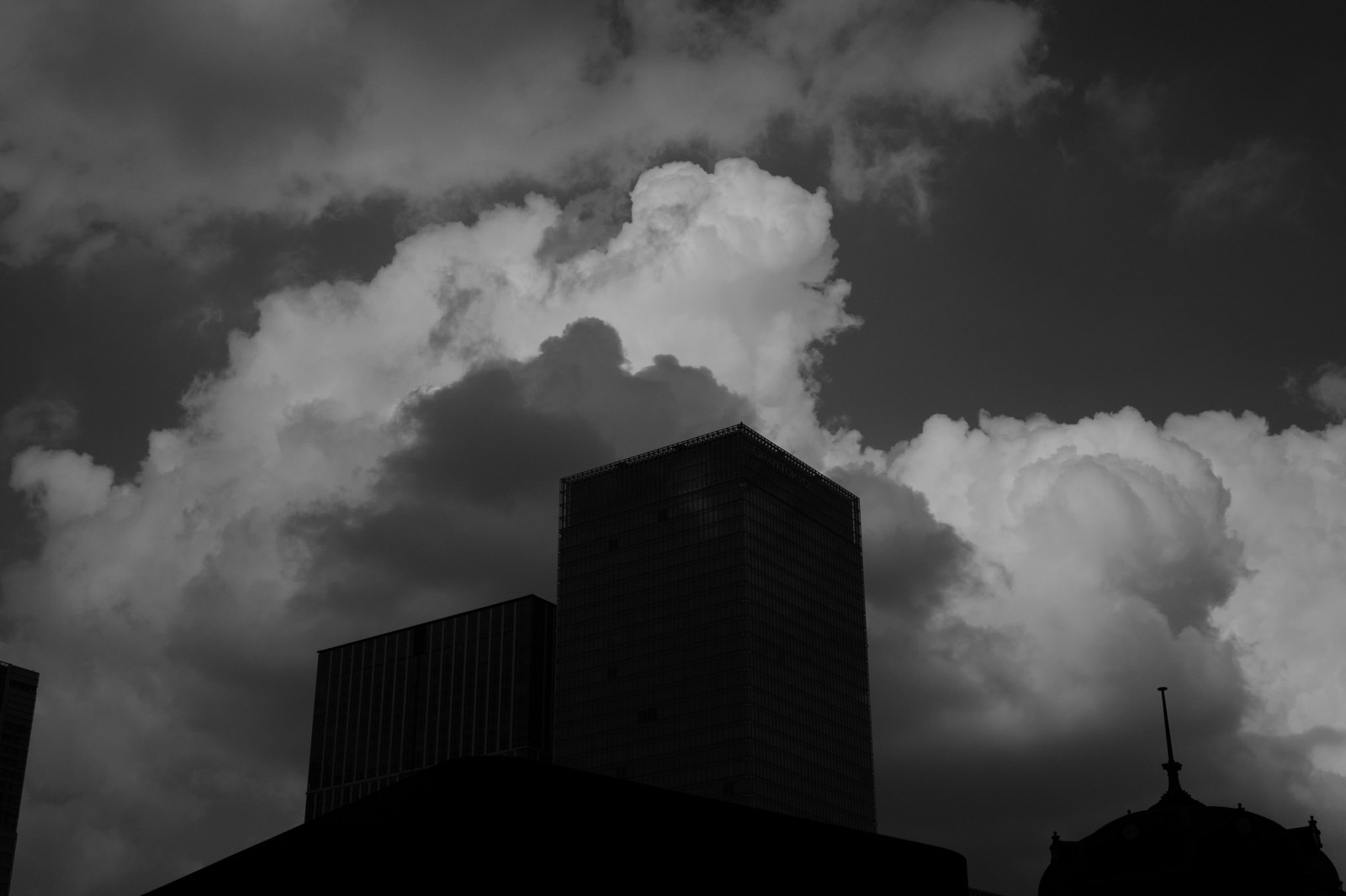 cumulus tokyo