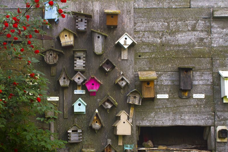 stěna, strom, dřevo, květ, Dům, rostlina