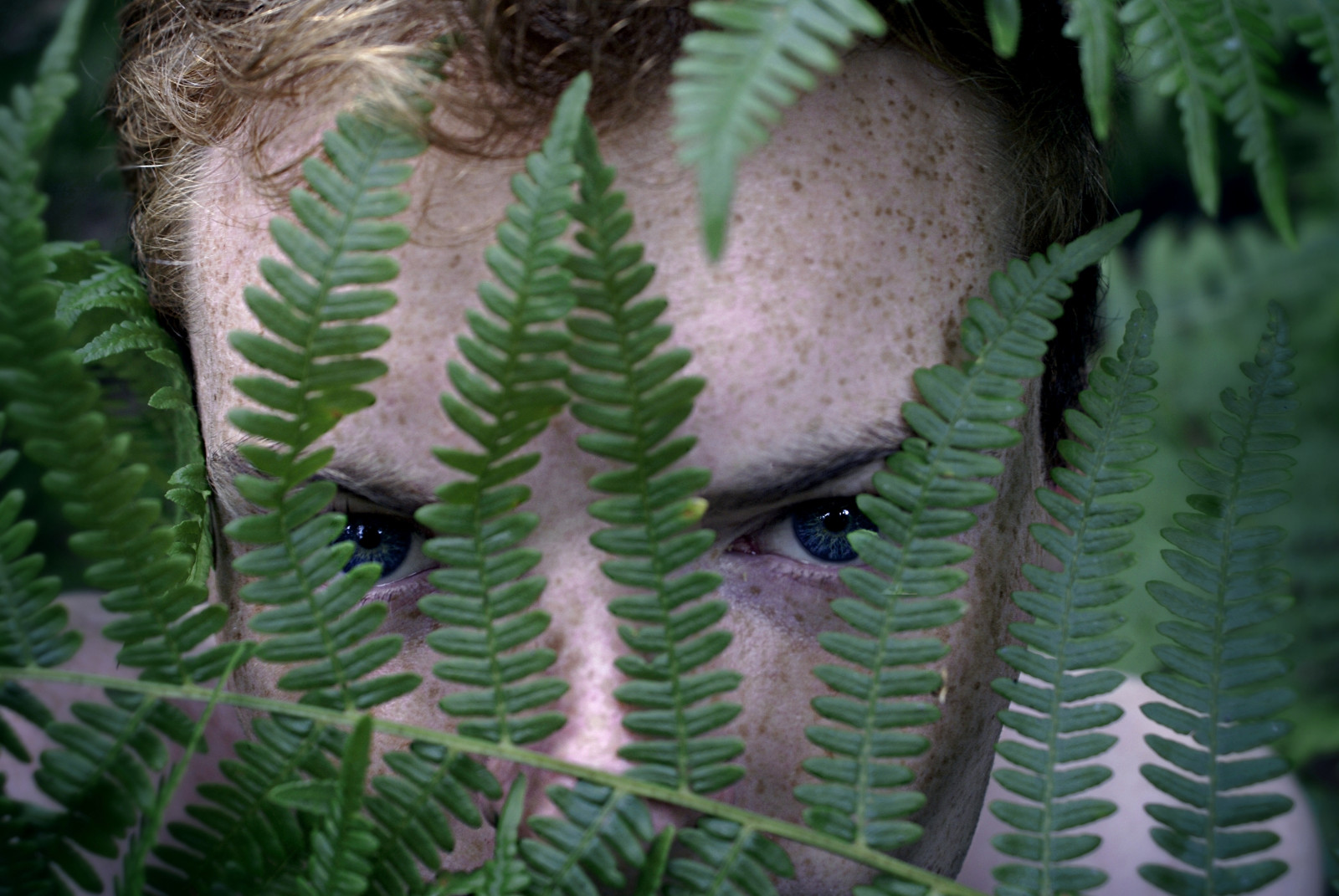 Wallpaper blue, white, fern, green, eye, leaves, dark, ginger, leaf