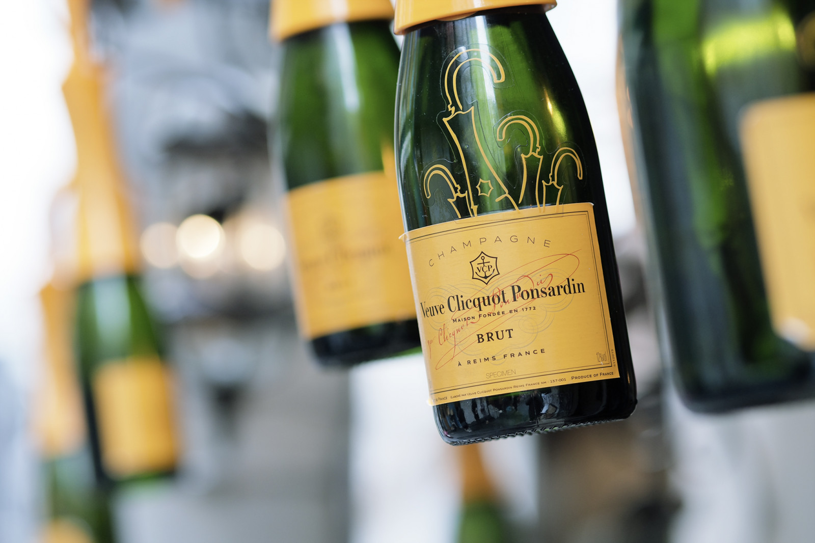 láhev, napít se, víno, alkoholický nápoj, šampaňské, lahev vína, skleněná láhev, destilát, likér, alkohol, bílé víno