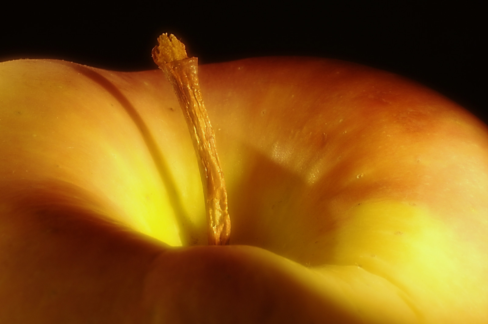 slunečnímu záření, jídlo, minimalismus, fotografování, ovoce, žlutý, jablka, pentax, jablko, list, květ, rostlina, pentaxk7, flóra, okvětní lístek, stálý život, thephotographyblog, Mela, minimalismus, artonflickr, unitedworldphotographers, pandaonflickr, vyrobit, suchozemská rostlina, kvetoucí rostlina, Lidské tělo, orgán, zblízka, makro fotografie, frutta, růže rodina, frutto, mele, minimalia