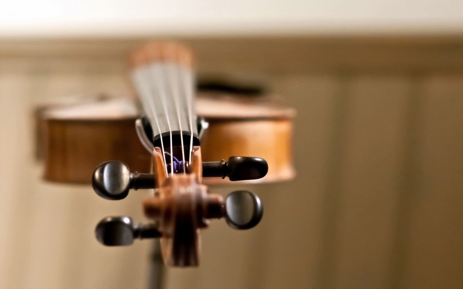 Wallpaper room, guitar, musical instrument, lighting, product, light fixture 2560x1600