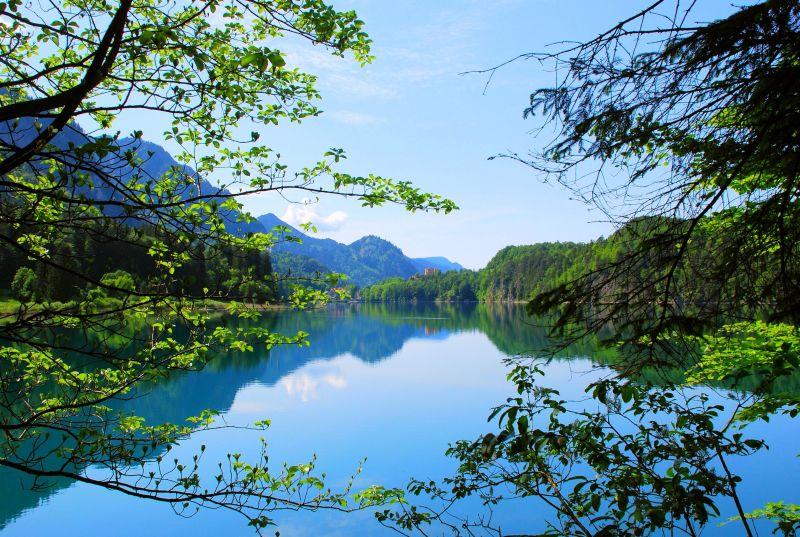 paesaggio, alberi, foresta, lago, acqua, natura paesaggio, alberi, foresta, lago, acqua, natura