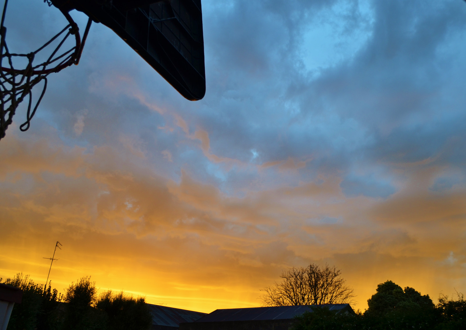 cielo, nube, amanecer, atmósfera, resplandor crepuscular, amanecer, puesta de sol, árbol, noche, Mañana, oscuridad, Atmósfera de tierra, tiempo de día, horizonte, fenómeno, luz de sol, Fenómeno meteorológico, Cielo rojo por la mañana, rama, paisaje, Papel pintado de la computadora, cúmulo