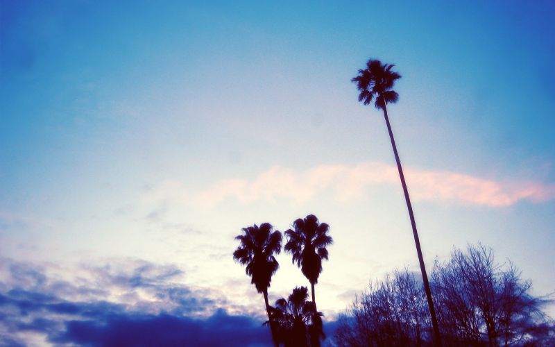 sunlight, sunset, nature, reflection, sky, sunrise sunlight, sunset, nature, reflection, sky, sunrise