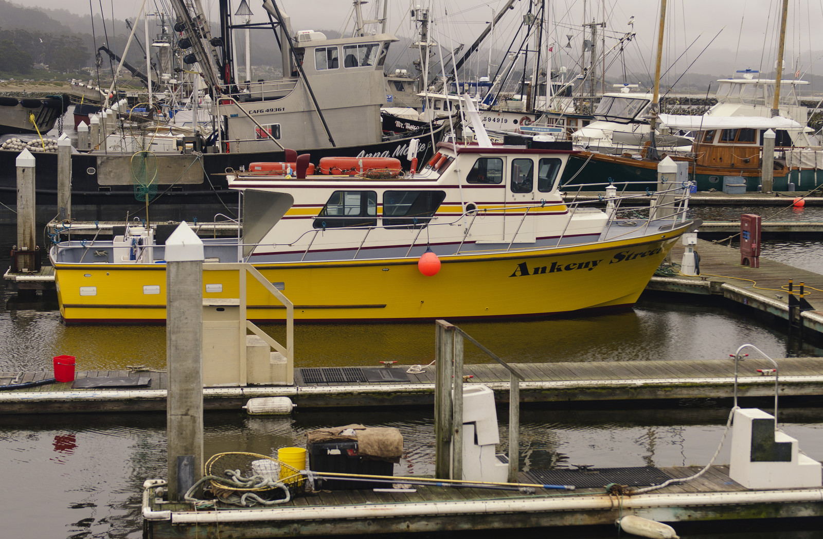 båd, mad, Bugt, køretøj, Måne, kyst, havn, Californien, dok, søjle, kommerciel, fiskeri, pacific, Marina, scene, vest, punkt, nordlige, ocean, marine, både, Havn, fartøjer, halvt, ca, mast, lag, sejlsport, dokker, produktion, NorCal, fiskerfartøj