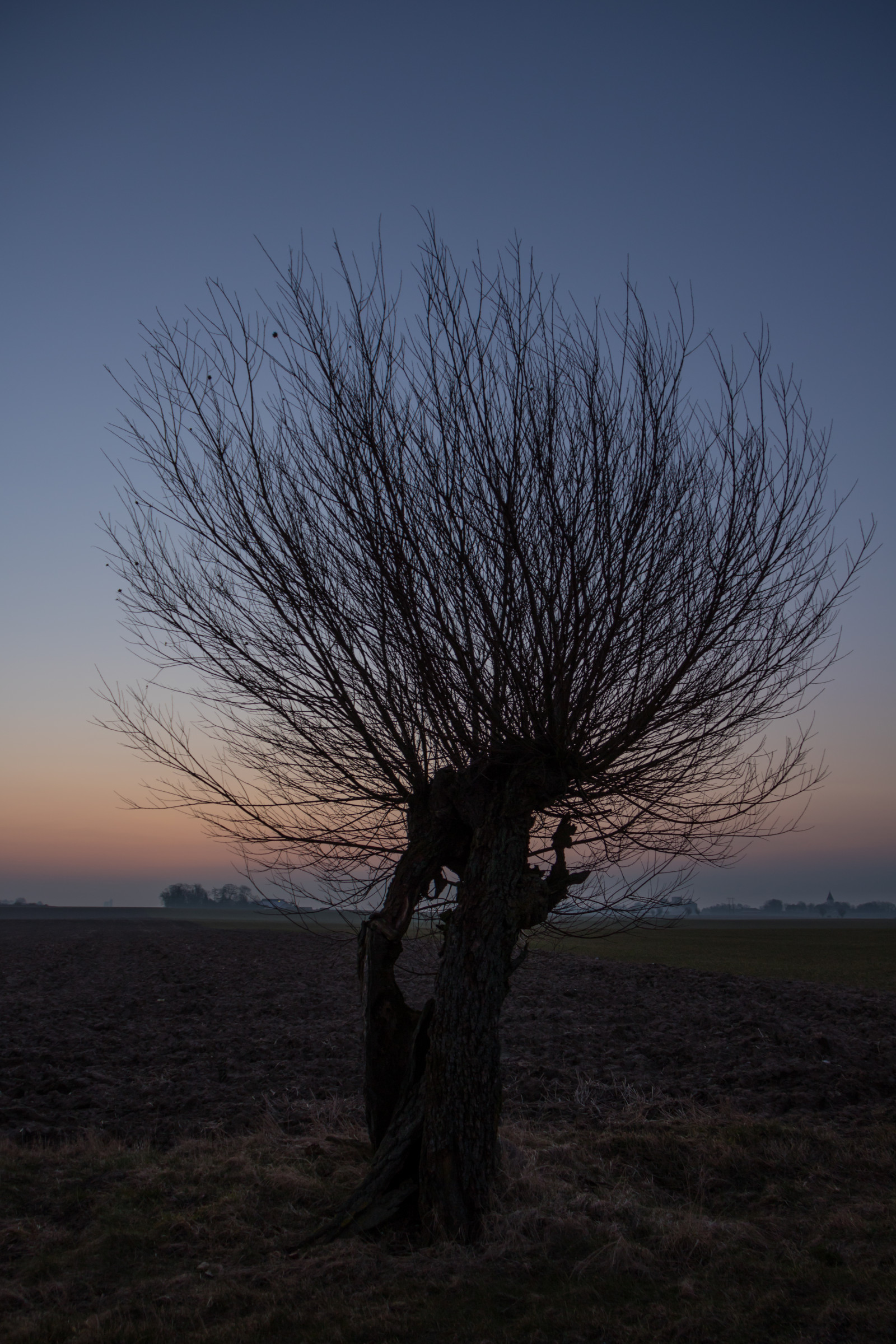 slunečnímu záření, krajina, západ slunce, kopec, Příroda, tráva, nebe, zima, silueta, větev, svítání, večer, ráno, vítr, horizont, soumrak, mrak, strom, svítání, rostlina, sezóna, nebe, venkov, landsbygd, soluppg ng, s dersl tt, landskap, gryning, morgon, tma, atmosférický jev, dřevina