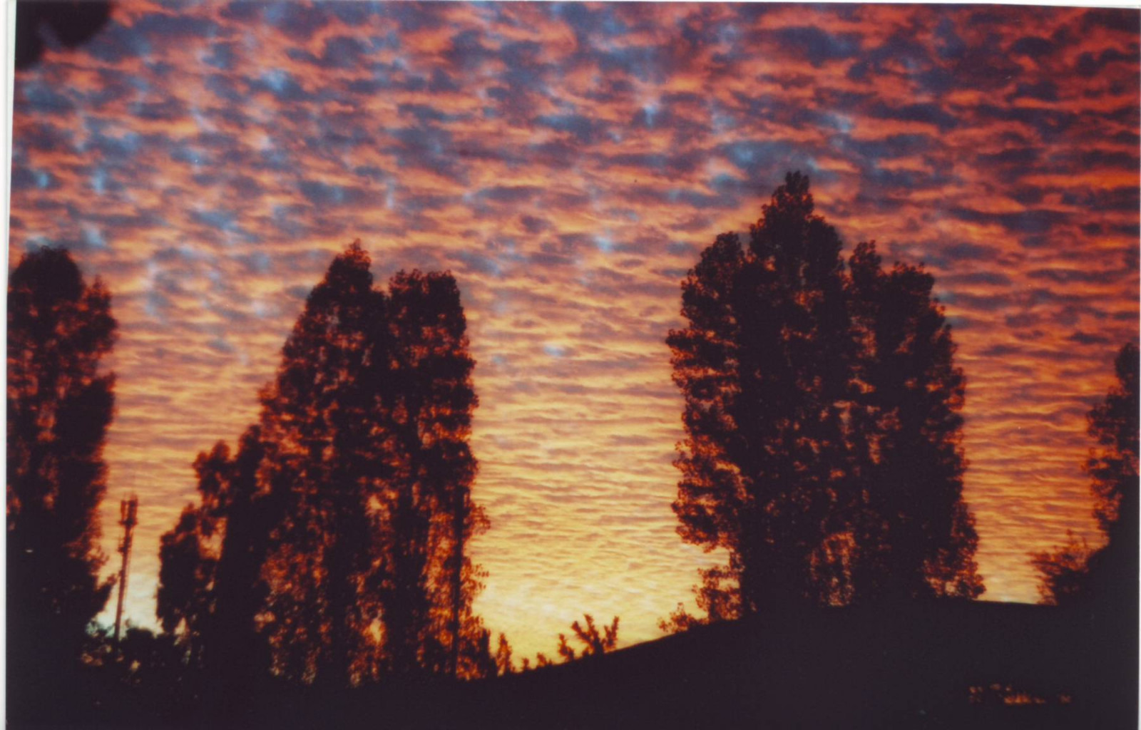 ภาพยนตร์, 35 นาที, Kodak, 200, zenit, helios44m, losandes, อะนาดา