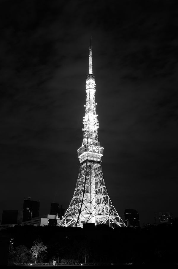 Japan,black,monochrome,night,architecture,reflection