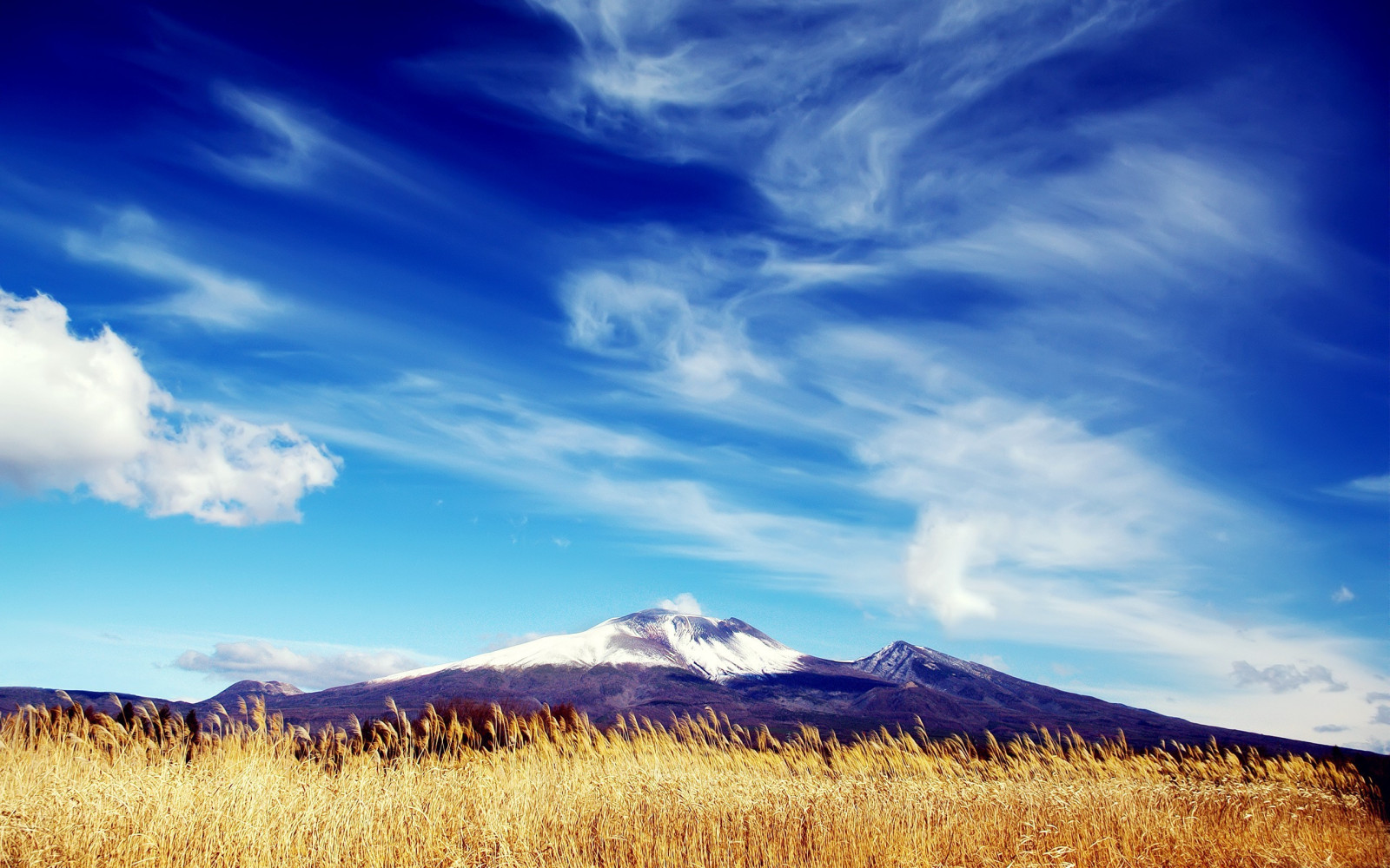 Wallpaper : 2560x1600 px, nature 2560x1600 - - 1045431 - HD Wallpapers ...