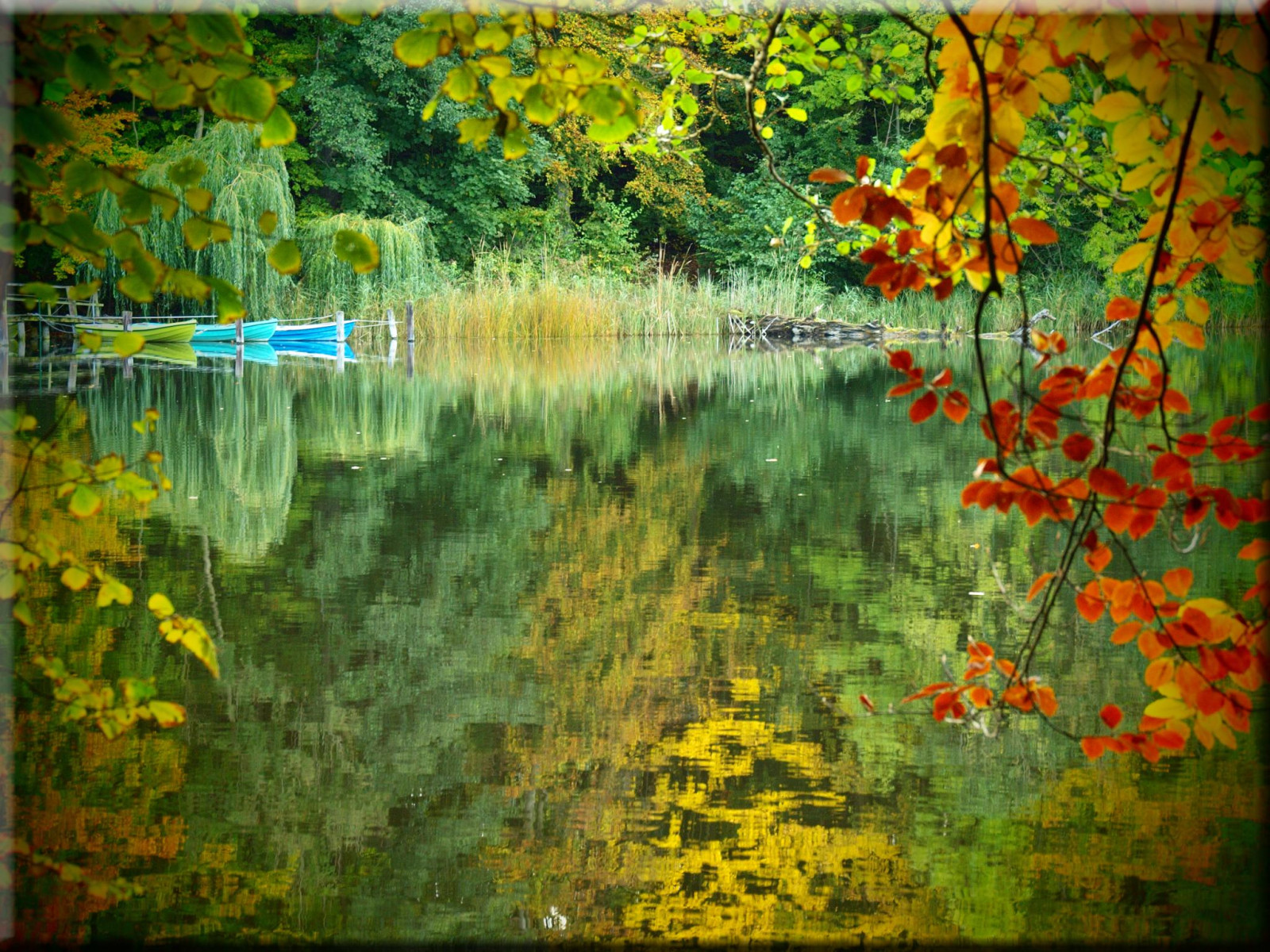 efterår, Herbst, Olympus, ukleisee, E620