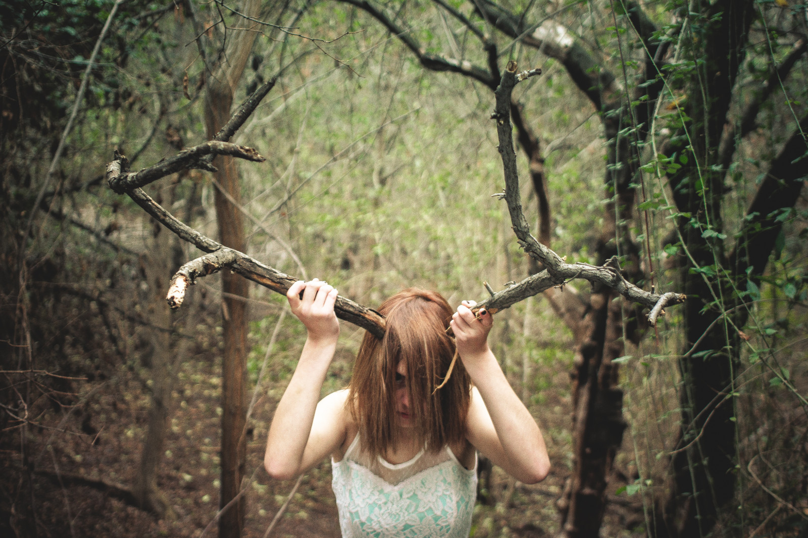 foresta, bianca, natura, erba, fotografia, ramo, verde, capelli, emo, triste, Chile, giungla, lente, contento, pomeriggio, lolita, Nevada, MM, tacca, bellissimo, albero, animale, primo, bambino, sorella, pianta, ragazza, bellezza, naturale, in ritardo, donna, divertimento, naturaleza, arbol, migliore, blanco, 40, verde, 40 millimetri, piangere, nina, tardo pomeriggio, bosco, canon500d, pianta legnosa, pancake, vestido, triste, nicolas, sentire, reno, Ciervo, Fuentes, Losleoni, Nickfuentes, Lempicka, Arbolera, Caribu, Unicocreativo