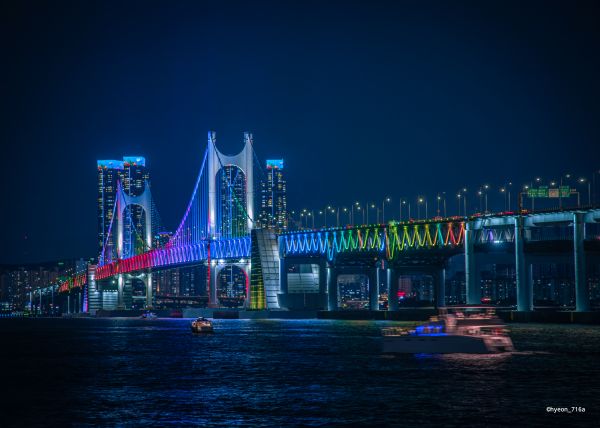 night,building,Korean,Busan,skyscraper,photography