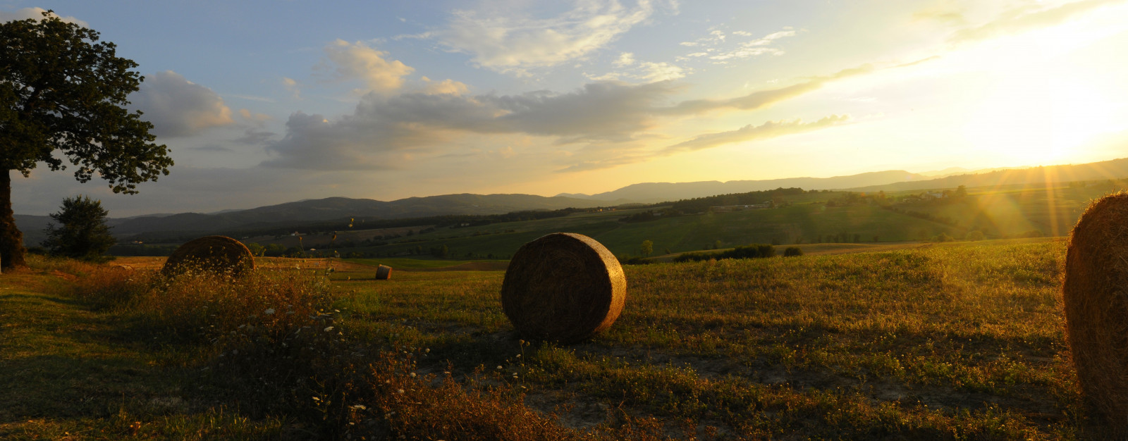 slunečnímu záření, krajina, západ slunce, Itálie, kopec, Příroda, tráva, nebe, pole, svítání, večer, ráno, slunce, Florencie, horizont, Nikon, soumrak, Toskánsko, paysage, mrak, strom, podzim, hora, svítání, lučina, pano, Italia, venkov, zemědělství, louka, italie, Gabbiano, D700, campagne, prérie, venkov, místo výskytu, přírodní prostředí, atmosférický jev, toscane, tráva rodina, panoramique, fierenze