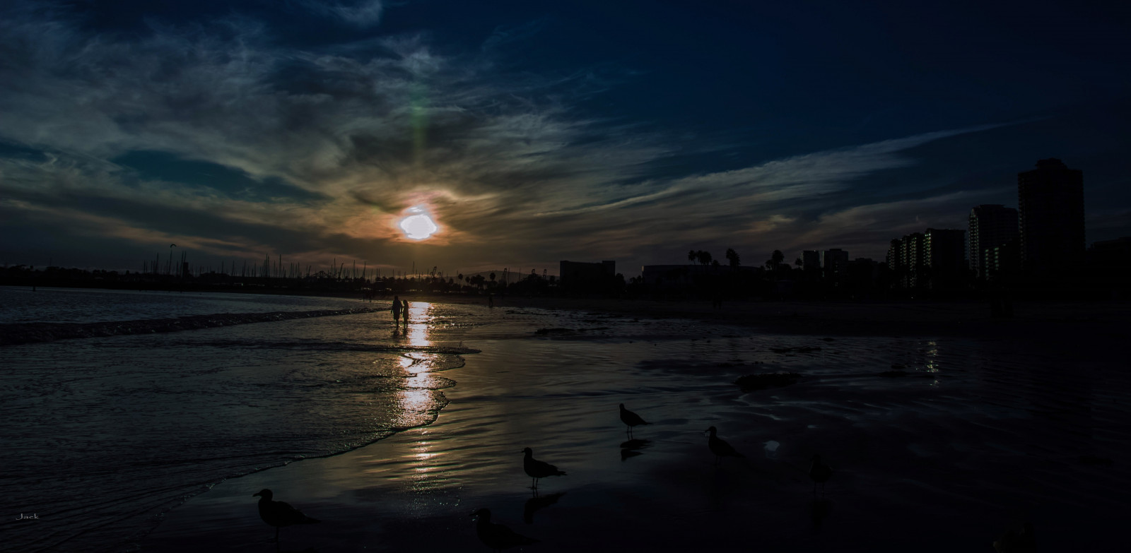 Wallpaper Burung Burung Tepi Pantai Langit Matahari Terbenam