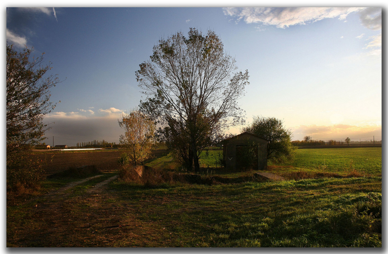 himmel, Sky, træ, natur, vedplante, Mark, morgen, landdistrikt, sollys, græs, atmosfære, landskab, græs, eng, aften, græsarealer, meteorologisk fænomen, prærie, daggry, gård, horisont, almindeligt, bakke, afdeling, plante