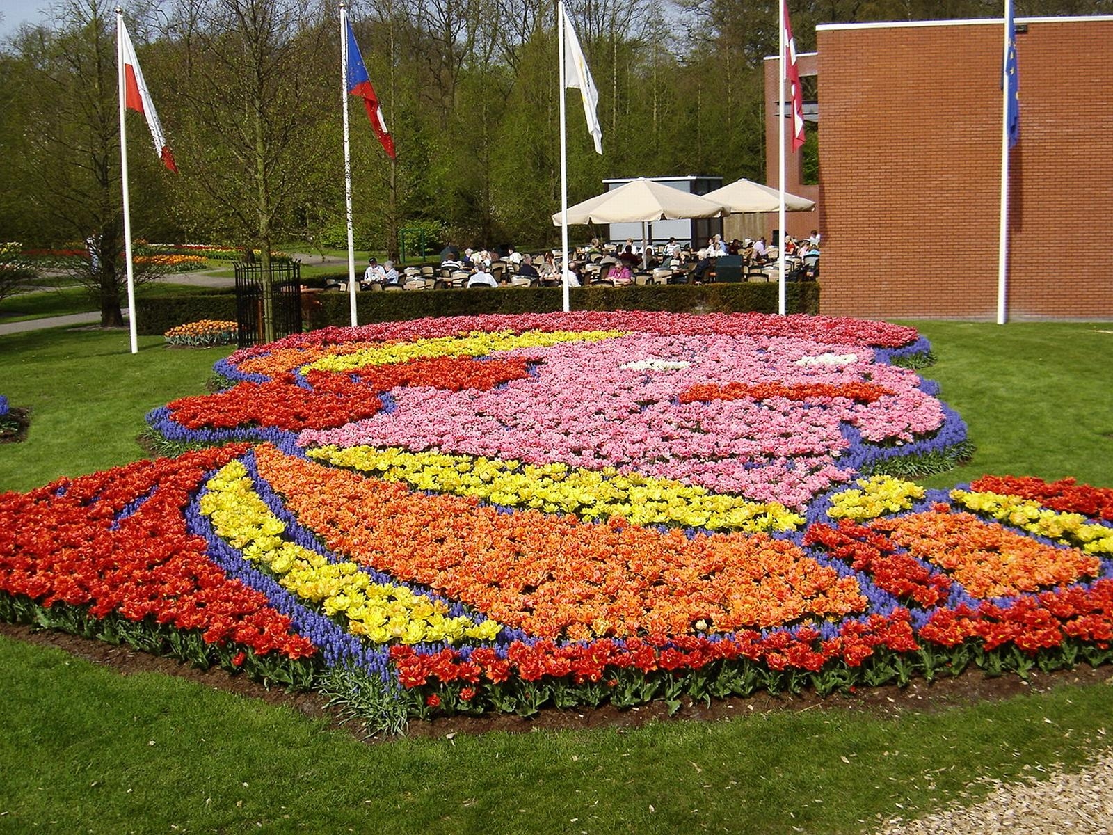 Wallpaper tulips, muscari, flowers, picture, park, flowerbed, cafe, leisure 1600x1200