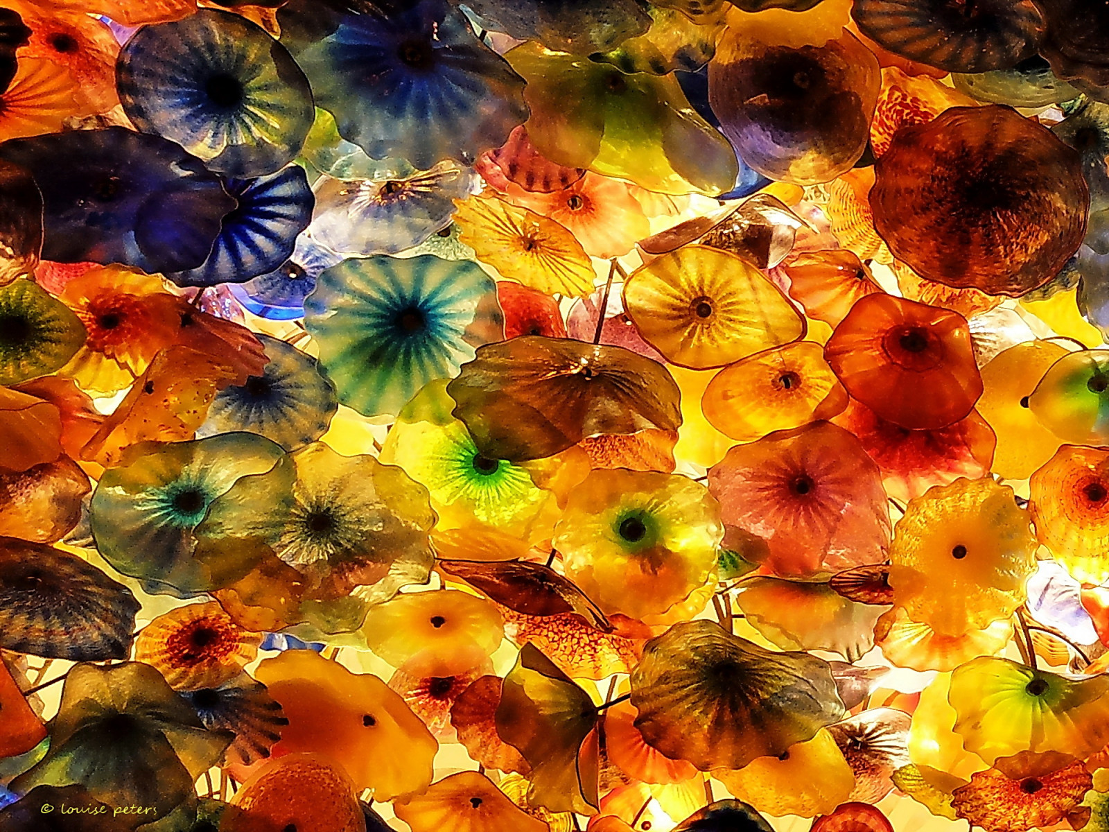 배경 화면 노랑, 무늬, 조각, 미국, 네바다, VS, 화려한, 아메리칸, 장식 천장, 라스베가스, 꽃잎, 클루 리크