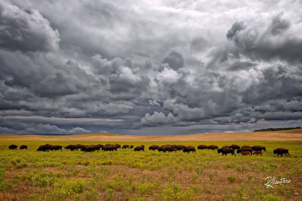 landscape,hill,nature,grass,sky,field