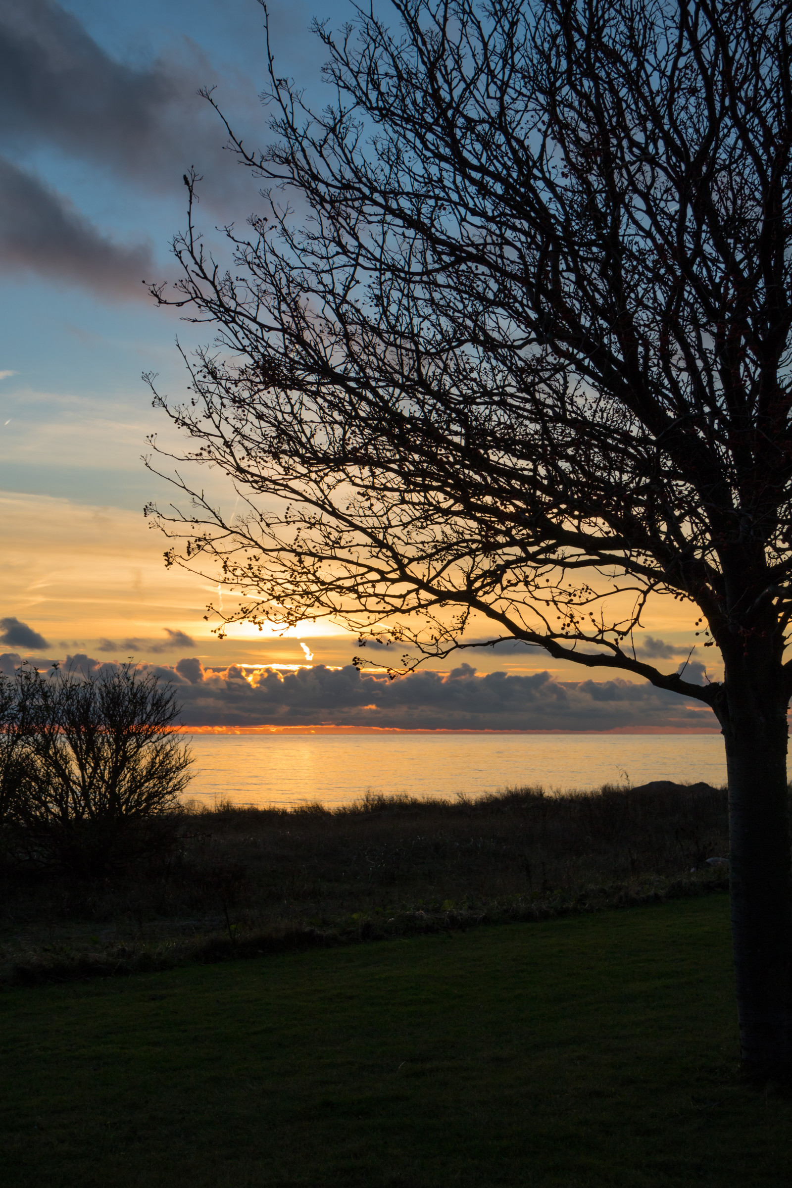 slunečnímu záření, krajina, západ slunce, moře, Příroda, odraz, tráva, nebe, pole, větev, svítání, večer, ráno, pobřeží, soumrak, mrak, strom, podzim, květ, svítání, rostlina, sezóna, nebe, solnedg ng, tr d, hav, moln, Trelleborg, kust, exif modelu canoneos760d, geocountry, Kamera aby kánon, geocity, Model fotoaparátu canoneos760d, geostate, geolocation, EXIF čočka efs18200mmf3556is, exif aby kánon, EXIF isospeed 100, EXIF otvor 80, exif focallength 35mm, venkov, atmosférický jev, dřevina