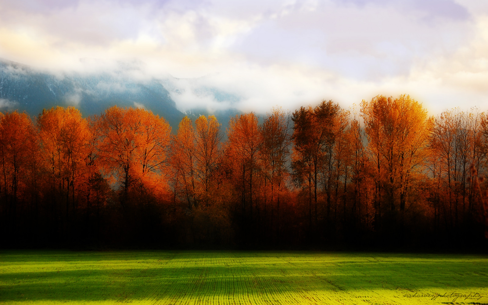 slunečnímu záření, stromy, krajina, les, hory, západ slunce, Příroda, odraz, tráva, nebe, pole, mraky, svítání, zelená, ráno, mlha, horizont, Kanada, soumrak, Neděle, UMĚNÍ, mrak, strom, podzim, list, barvy, svítání, lučina, rostlina, sezóna, louka, automne, prostý, magický, mywinners, betterthangood, magicunicornverybest, damniwishidtakenthat, nikond40, arbres, dragondaggerphoto, prérie, bluejay2006, mharveyphotography, coth, beautifulbritishcolumbia, Orton, venkov, místo výskytu, přírodní prostředí, atmosférický jev, počítač tapeta, dřevina, tráva rodina, slunečný den, coppercloudsilvernsun