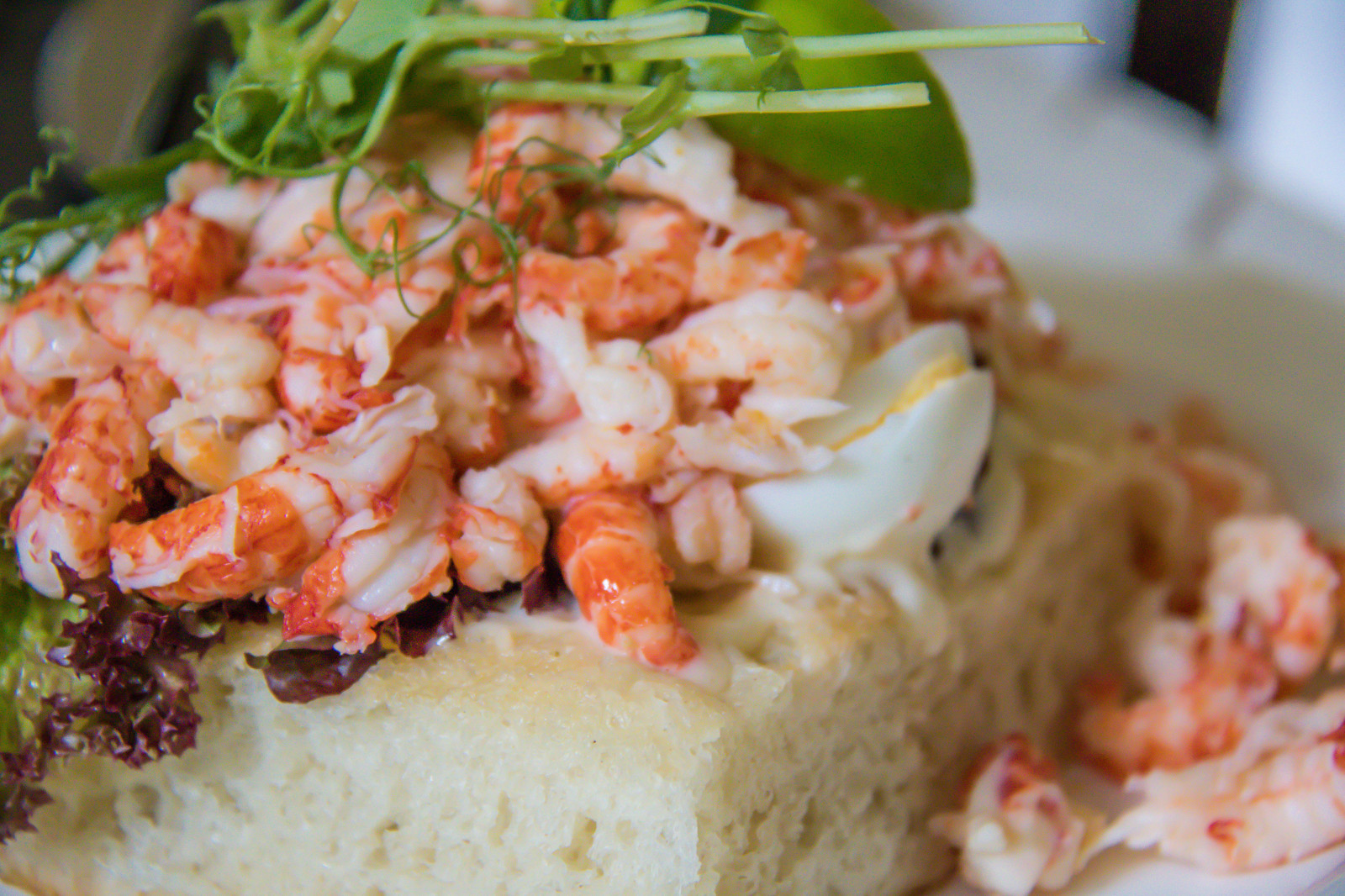 jídlo, salát, plody moře, sendvič, špagety, sm rg s, rak, sterlen, kavárna, jídlo, exif modelu canoneos760d, Kamera aby kánon, Model fotoaparátu canoneos760d, geolocation, EXIF čočka efs18200mmf3556is, EXIF otvor 56, exif aby kánon, exif isospeed 2500, exif focallength 100mm, kafe, olofviktors, Kč FTA, kuchyně, jídlo, vyrobit, bruschetta