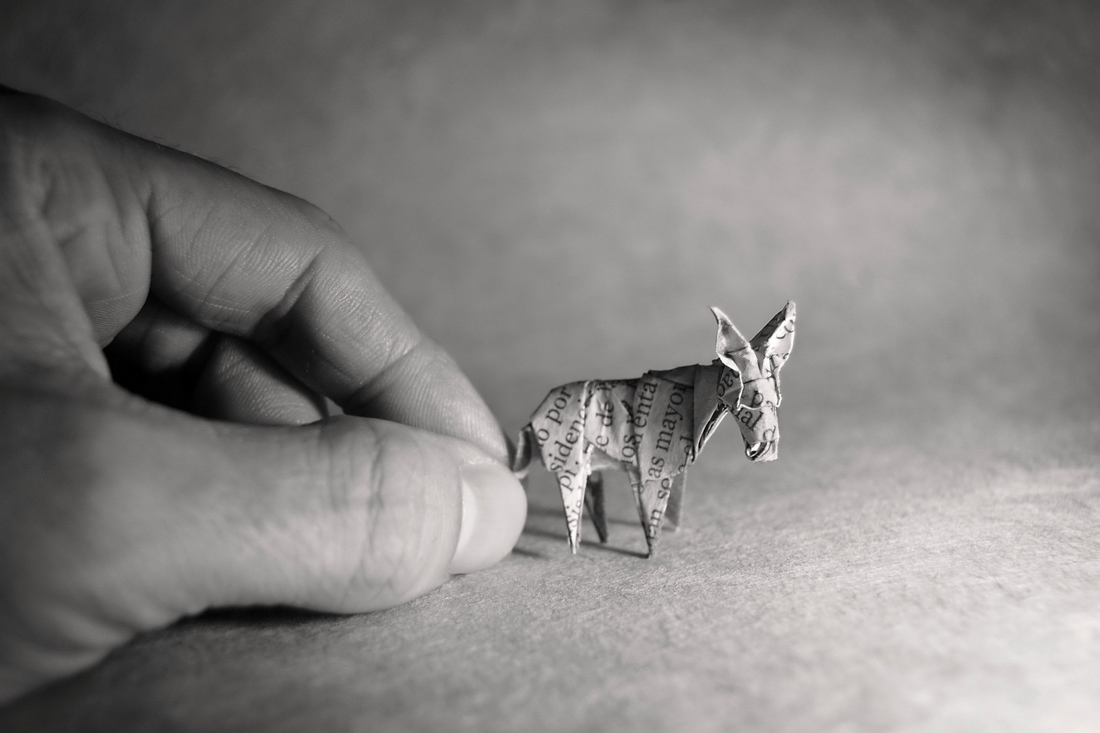 tekening, wit, zwart, kat, monochroom, handen, fotografie, origami, papier, ezel, hand-, zwart en wit, zwart-wit fotografie, detailopname, kleine tot middelgrote katten