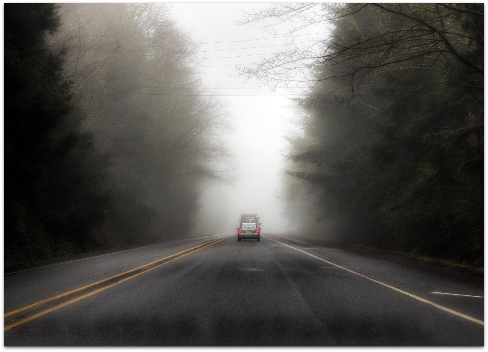 road, USA, west, fog, forest, 2011, tamron1750, sonydlsra700