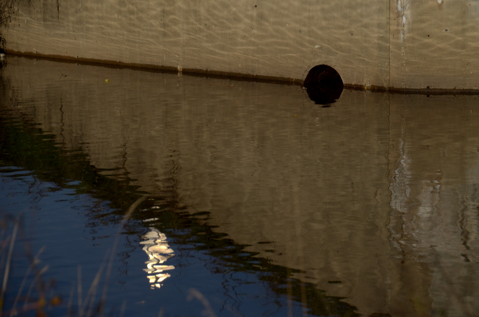 slunečnímu záření, voda, odraz, nebe, dřevo, uklidnit, večer, kruh, čáry, tunel, světlo, nikond5100, sigma18250mm, úhly, bussewoodsforestpreserve, vodní zdroje