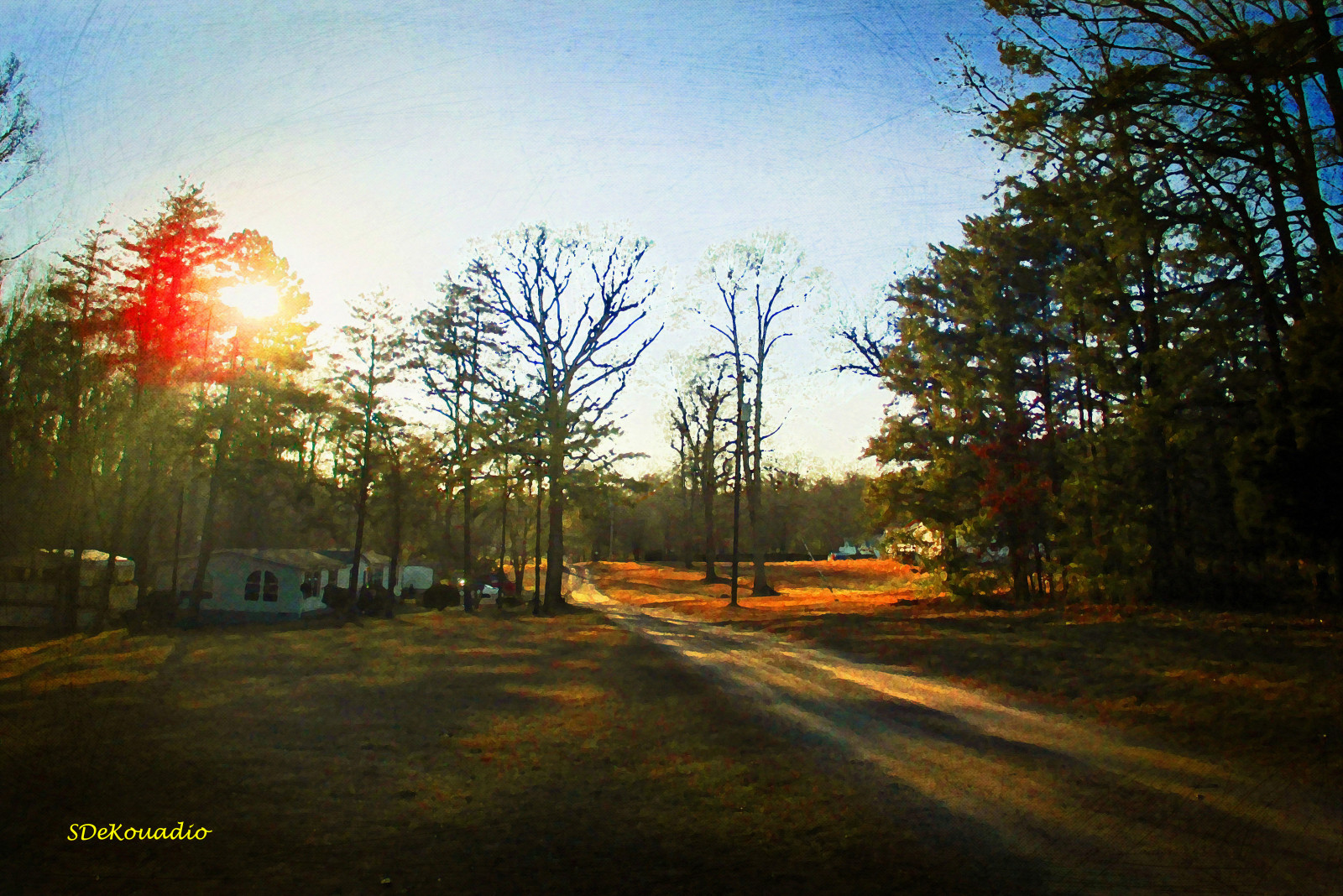 sollys, træer, maleri, solnedgang, nat, natur, himmel, skygge, fotografering, kunstværk, solopgang, aften, morgen, Sol, Canon, skumring, Virginia, KUNST, lys, træ, efterår, skygger, blad, kunstnerisk, daggry, udendørs, sæson, belysning, landdistrikt, atmosfærisk fænomen, vedplante