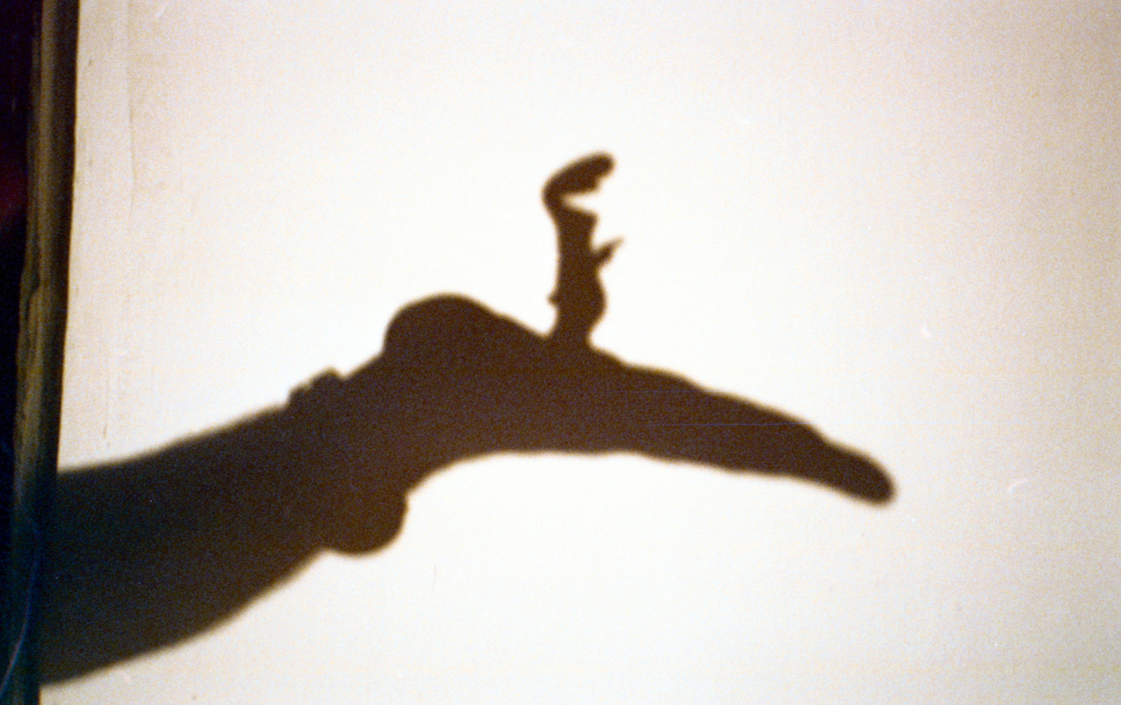 Schatten, Mauer, Silhouette, Karikatur, Hand, Mano, Finger, Abgelaufener Film, Ombra, abgelaufen, Muro, Lalinea, Olympusmjuii, Fujisuperia400, Olympusstylusepic, Analogicait, Lomographyandvintagecameras, Fujisuperiaxtra400, Lineman, Cartoneanimato, Abgelaufen042012