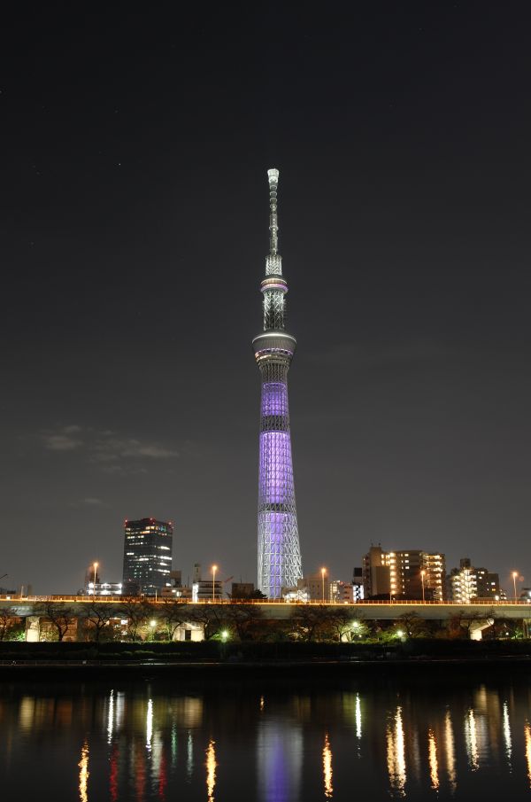 Japan,city,cityscape,night,architecture,reflection
