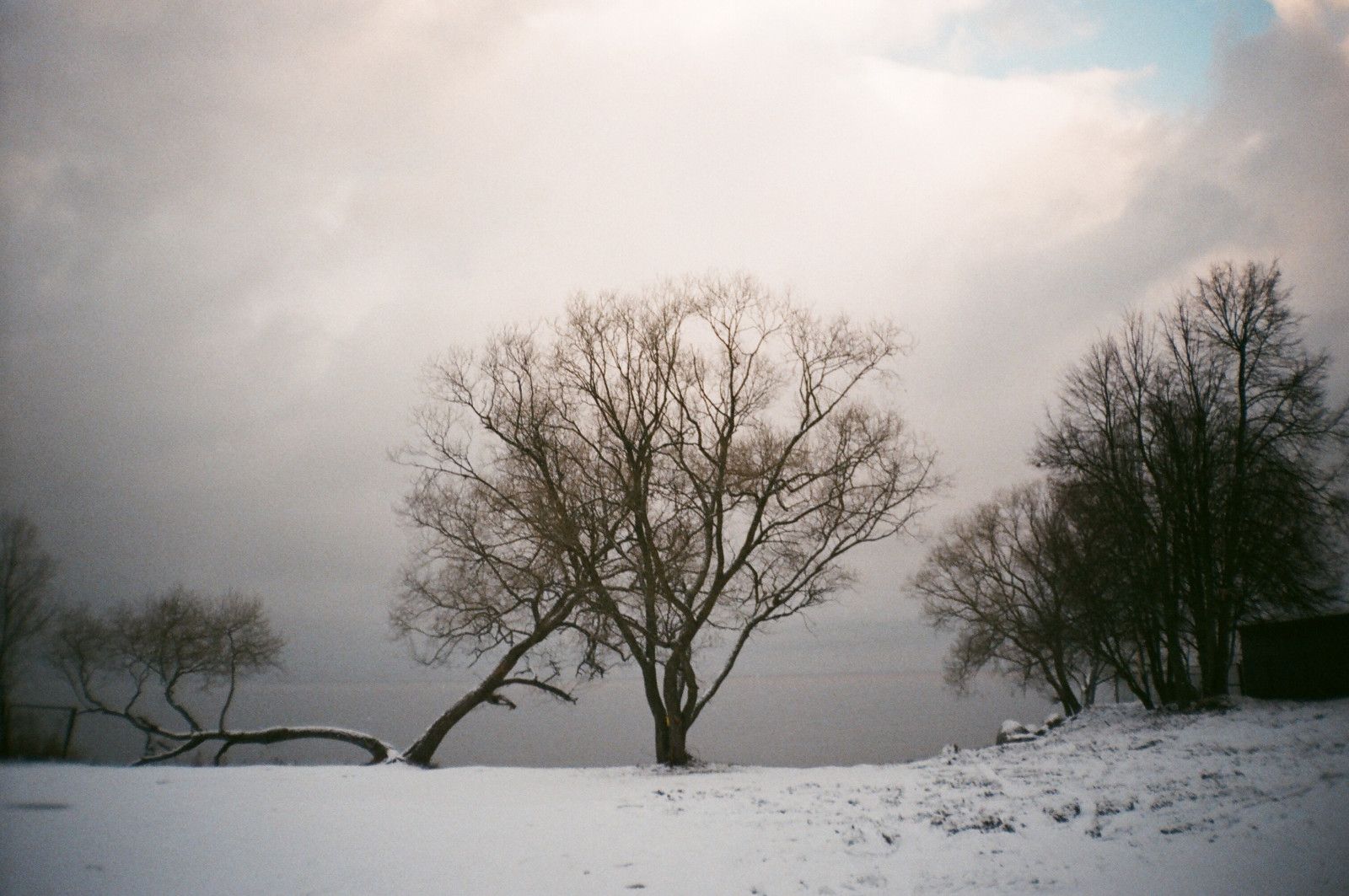 Wallpaper : film, 35MM 3022x2009 - - 963615 - HD Wallpapers - WallHere