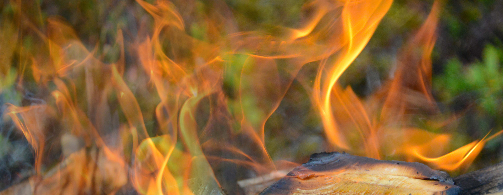 dřevo, světlo, horký, les, oheň, Nikon, teplý, Přestávka, táborák, Lapland, teplo, dehet, D800, prvotní, Muonio